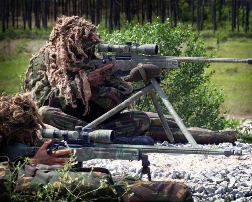 Royal_marines_snipers_displaying_their_l115a1_rifles